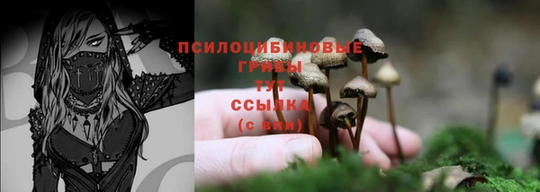 соль курить ск Алексин