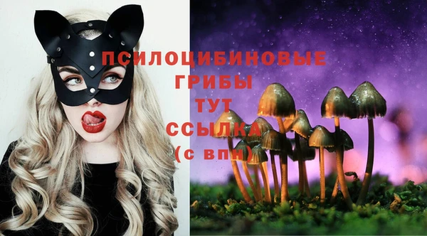 герыч Алексеевка