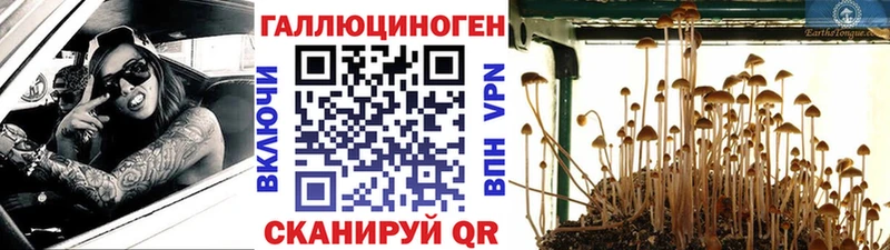 Галлюциногенные грибы мицелий  наркота  Катайск 